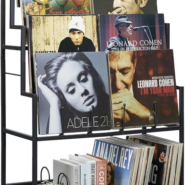 Vinyl record storage cabinet displaying various music albums and artist covers