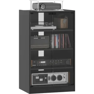 Vinyl record storage cabinet with glass doors showcasing records and audio equipment