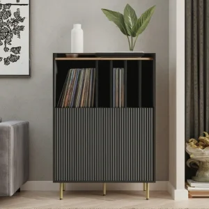 Stylish vinyl record storage cabinet with black and gold accents holding records