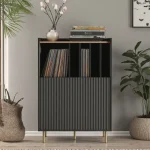 Stylish vinyl record storage cabinet with records and decorative plants