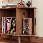Vinyl record storage cabinet with records and speaker on display