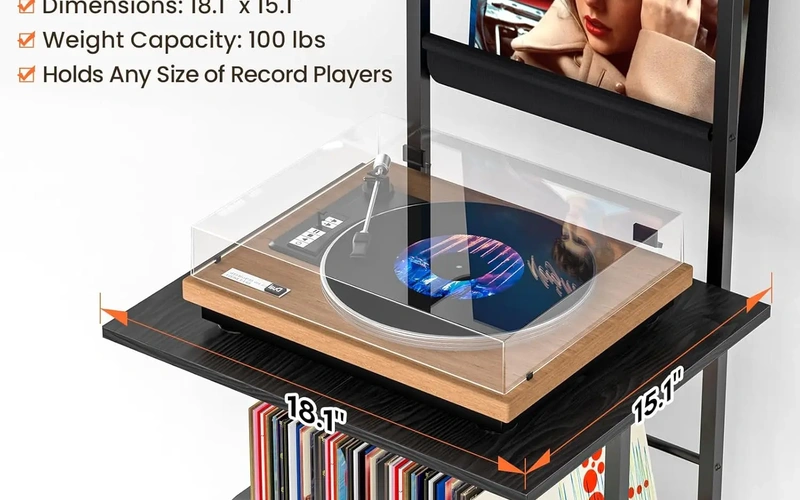 spacious-vinyl-record-storage-cabinet